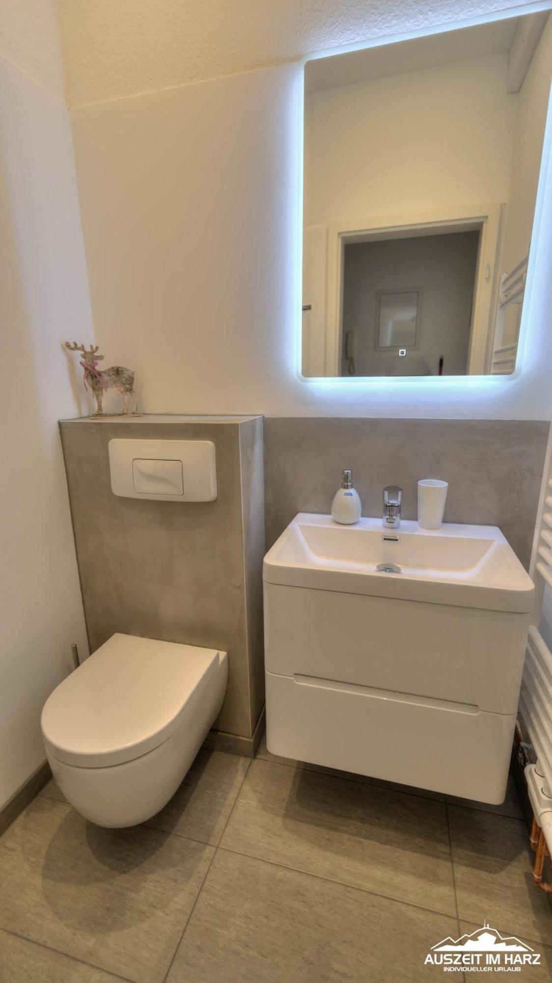 Auszeit-Im-Harz Haus 1 Wohnung Hexenstuebchen 施尔奇 外观 照片